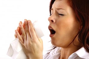 500x333xnatural-allergy-relief.jpg.pagespeed.ic.Dhus3Z58nP