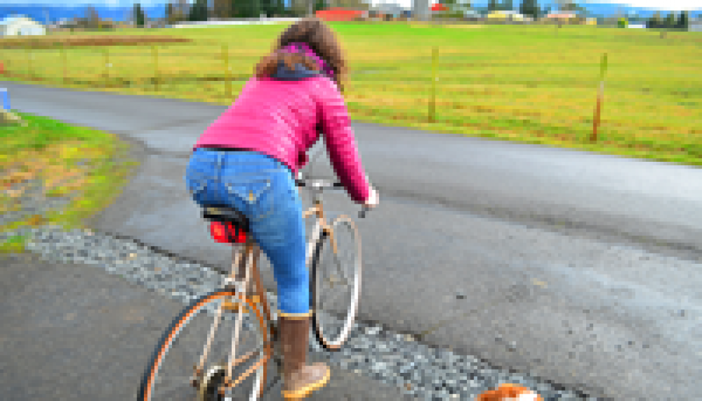 img destacada bicicleta