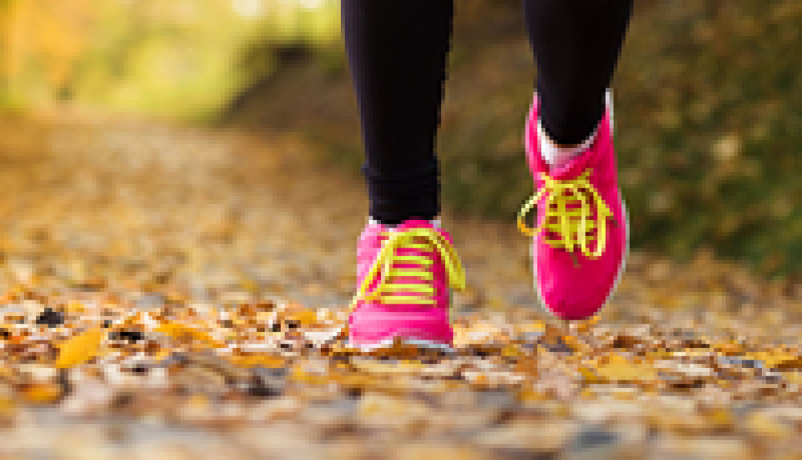 img exercicio inverno img exercicio inverno