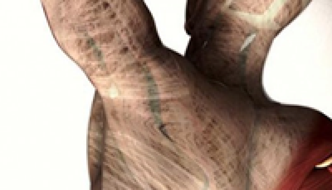 fascias novas funcoes